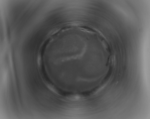 X0000114390254200910231022