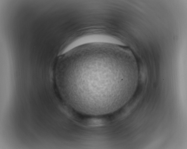 X0000114390255200910231022
