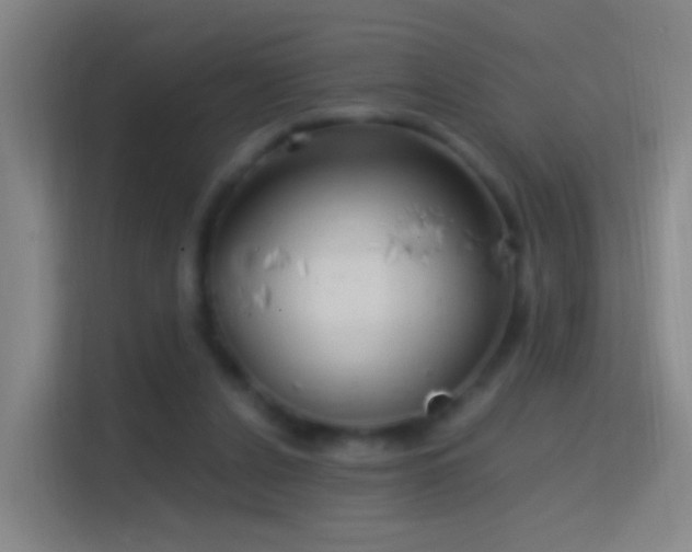 X0000114390256200910231022