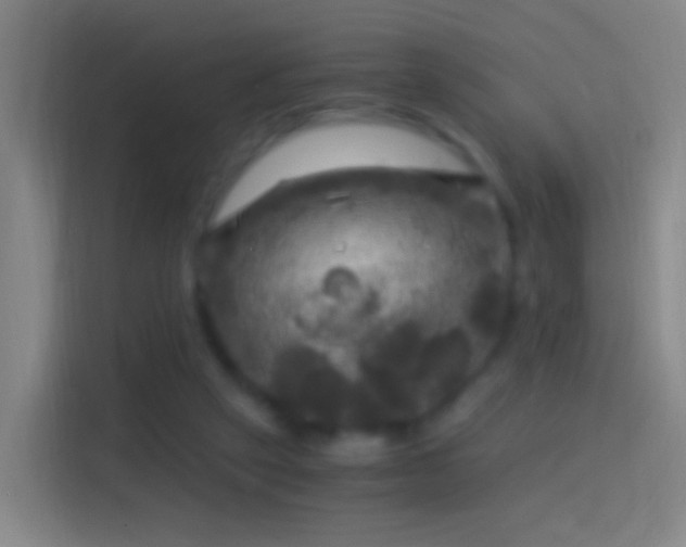 X0000114390257200910231022