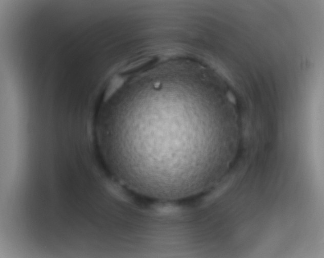 X0000114390258200910231022