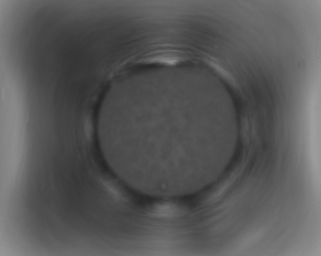 X0000114390259200910231022