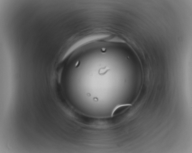 X0000114390260200910231022