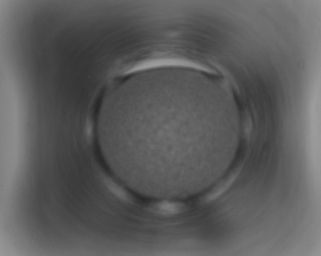 X0000114390261200910231022