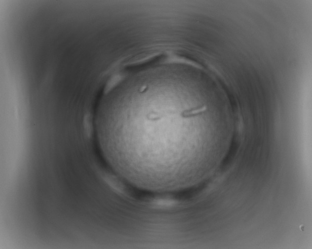 X0000114390262200910231022