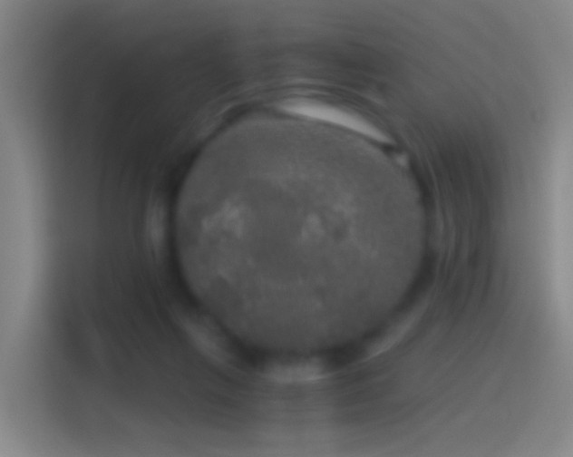 X0000114390263200910231022