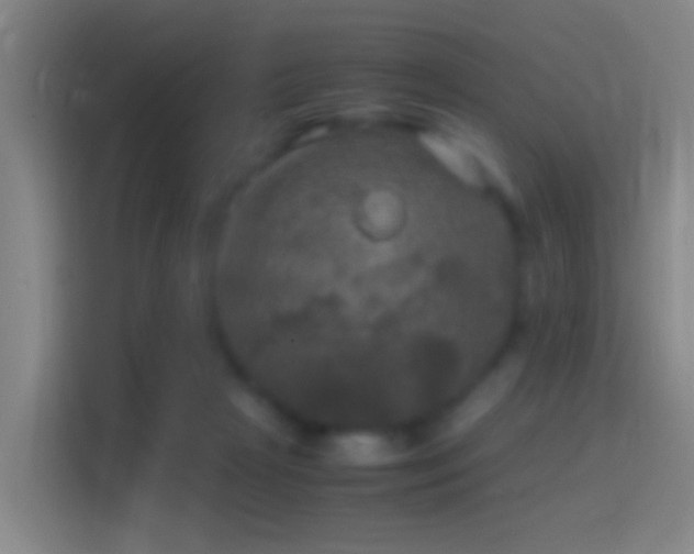 X0000114390265200910231022