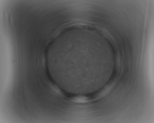 X0000114390266200910231022