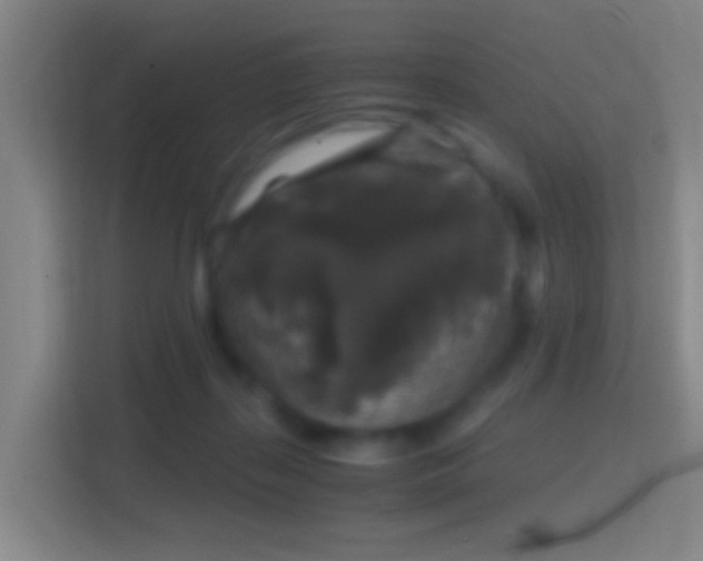 X0000114390267200910231022