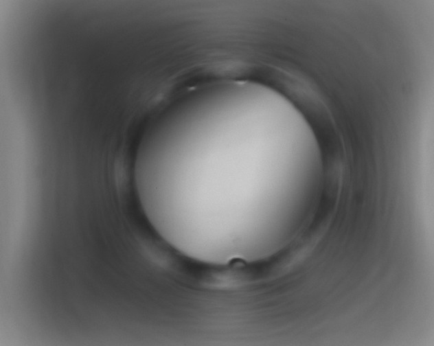 X0000114390268200910231022