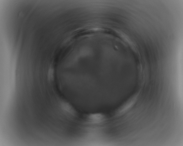 X0000114390269200910231022