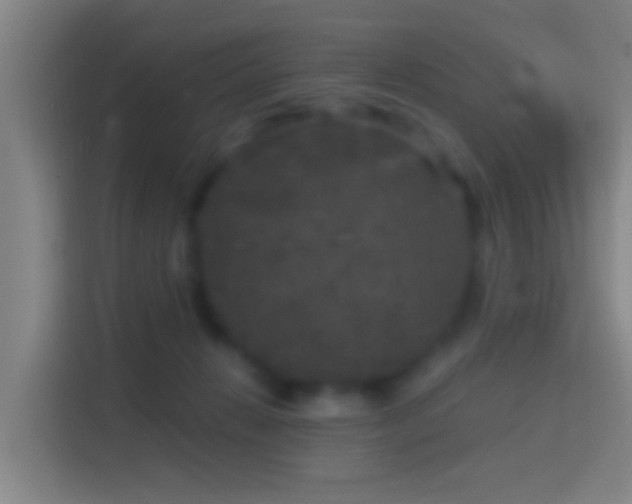X0000114390270200910231022