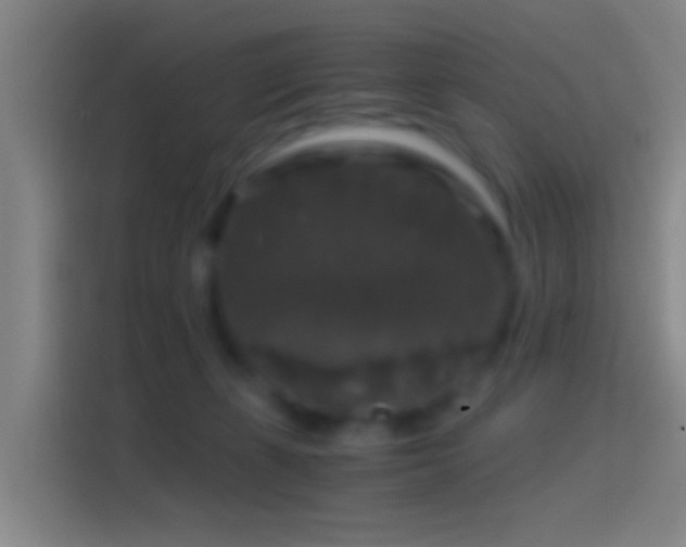 X0000114390271200910231022