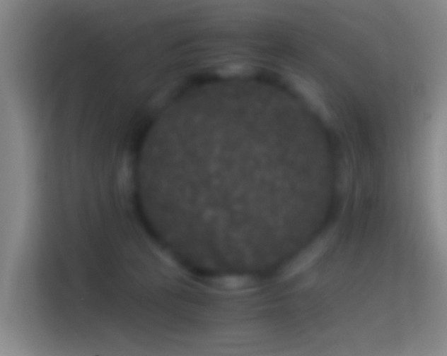 X0000114390273200910231022