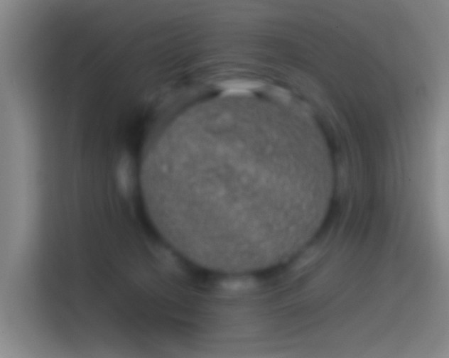 X0000114390274200910231022