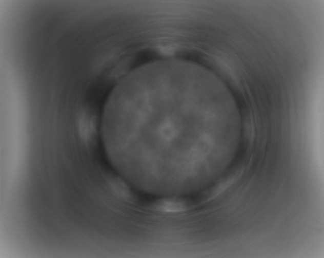 X0000114390275200910231022