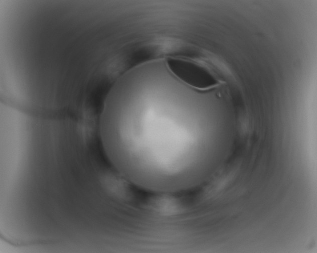 X0000114390276200910231022