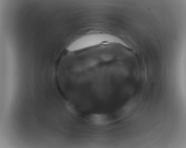 X0000114390277200910231022