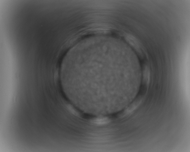 X0000114390278200910231023