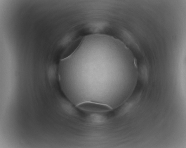 X0000114390280200910231023