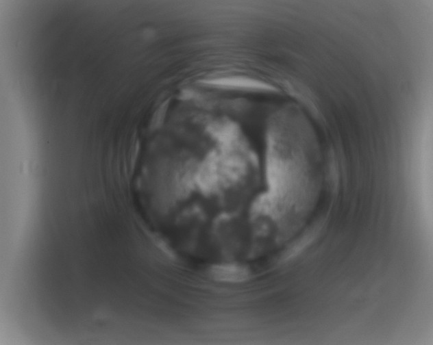 X0000114390281200910231023