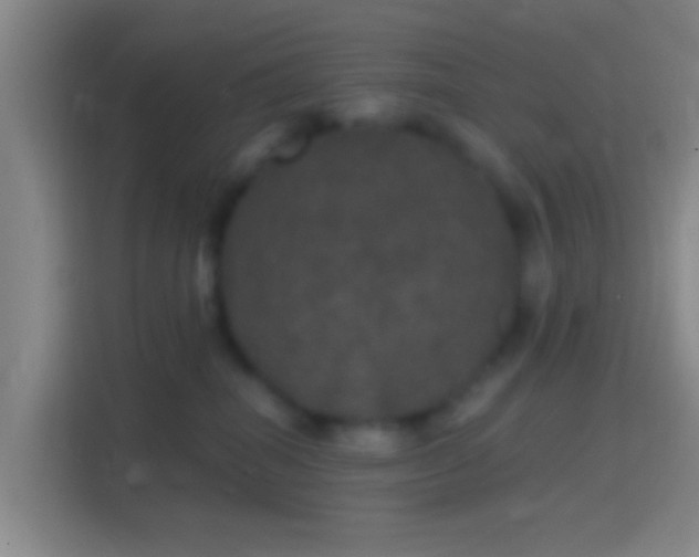 X0000114390282200910231023