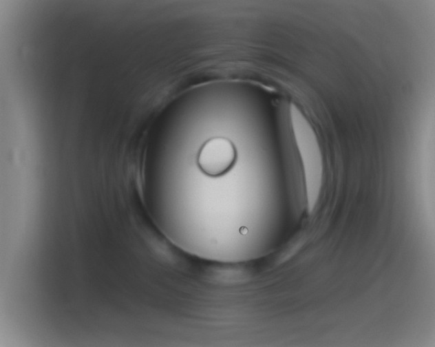 X0000114390284200910231023
