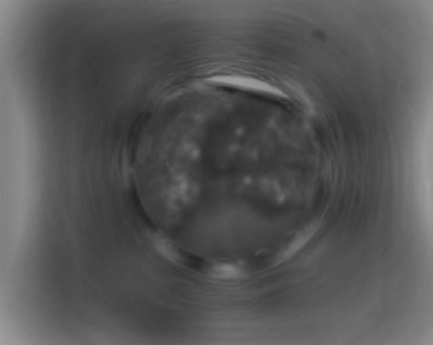 X0000114390285200910231023