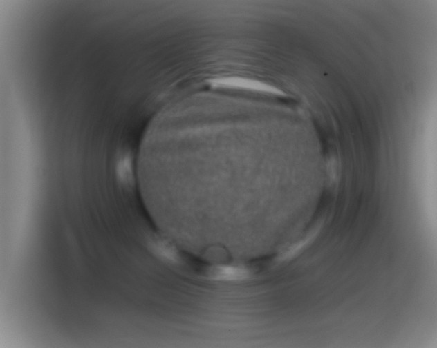 X0000114390286200910231023