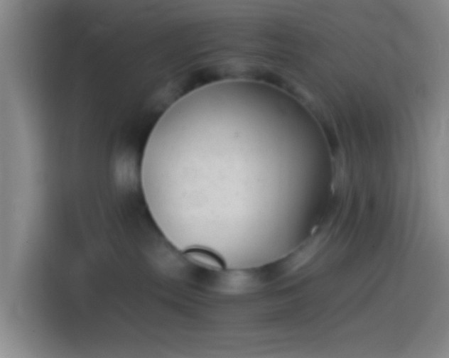 X0000114390287200910231023