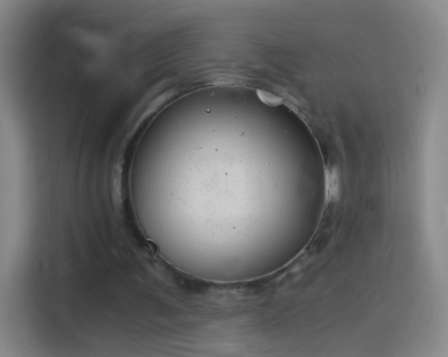 X0000114390291200910231022