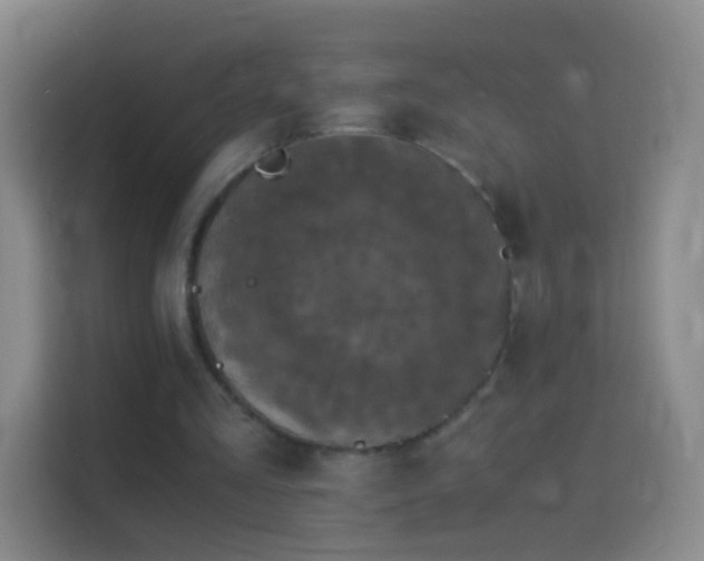 X0000114390293200910231022