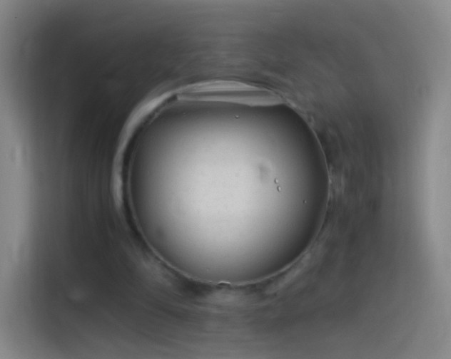 X0000114390294200910231022