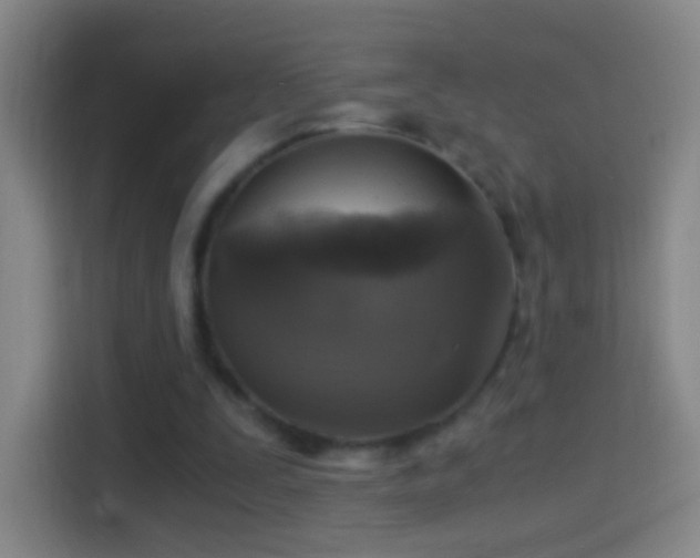 X0000114390295200910231022