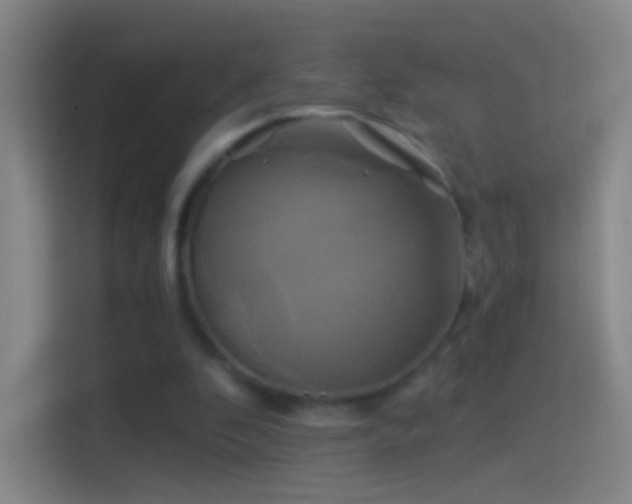 X0000114390296200910231022