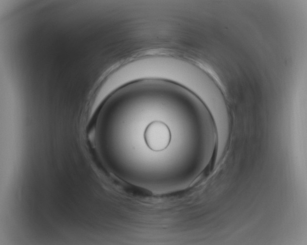 X0000114390297200910231022