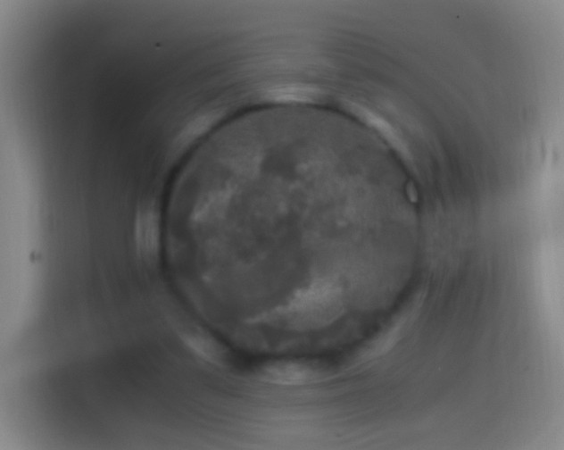 X0000114390299200910231022