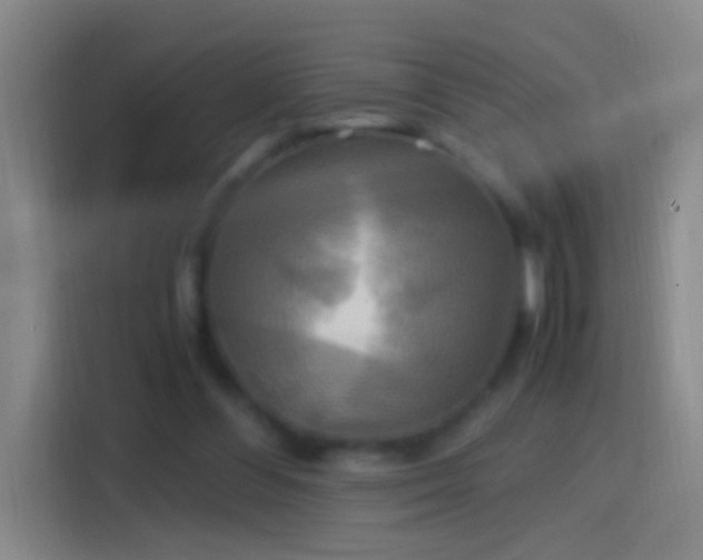 X0000114390300200910231022