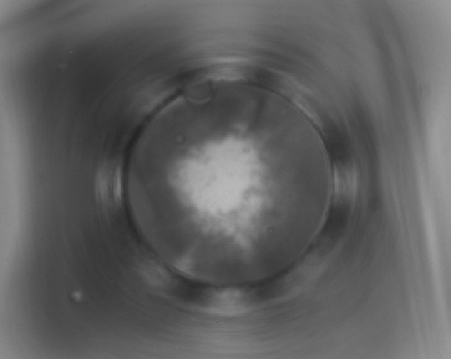 X0000114390301200910231022