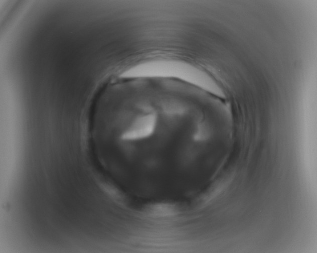X0000114390303200910231022