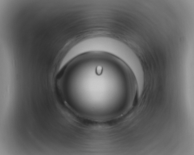 X0000114390304200910231022