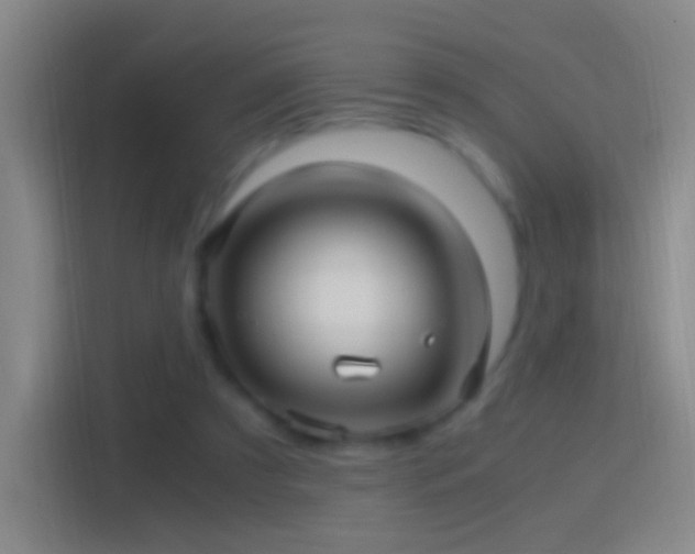 X0000114390305200910231022