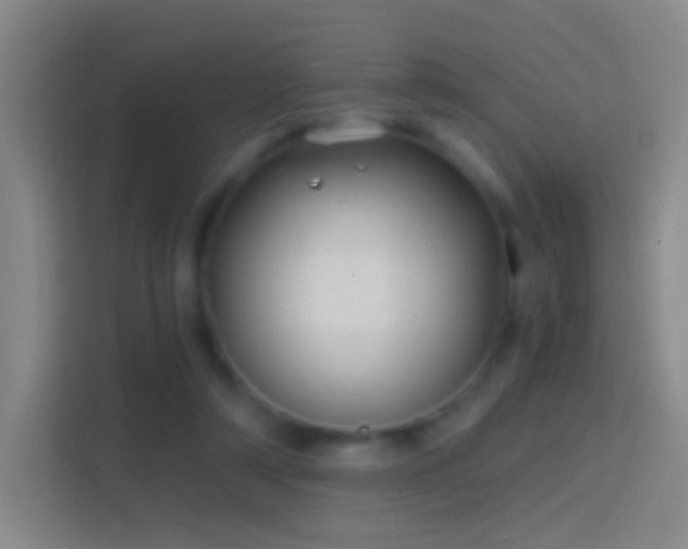 X0000114390306200910231022
