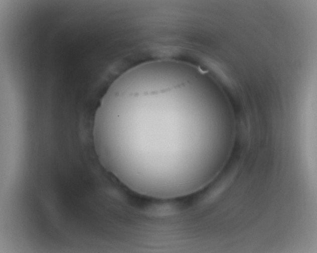 X0000114390307200910231022