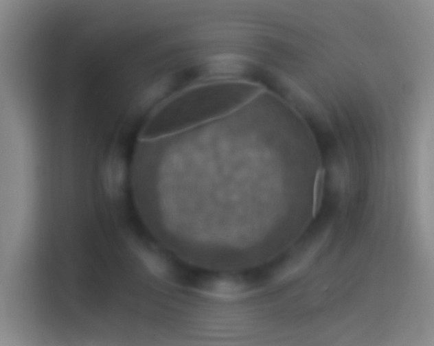 X0000114390308200910231022