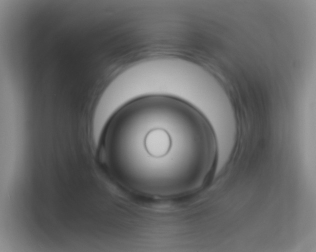 X0000114390309200910231022
