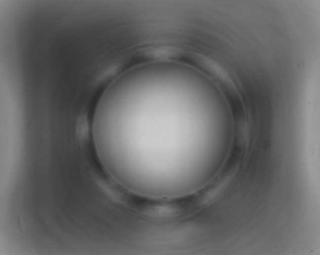 X0000114390310200910231022