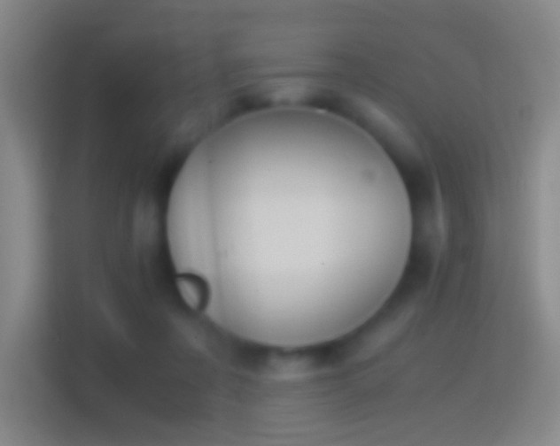 X0000114390311200910231022