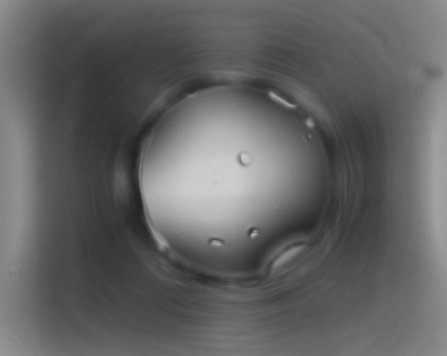 X0000114390312200910231022