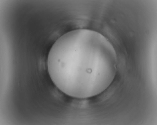 X0000114390313200910231022